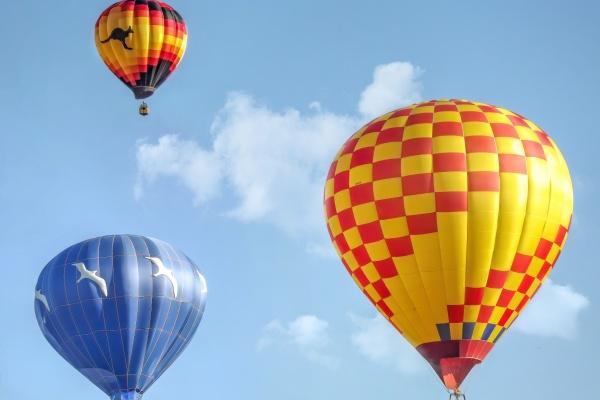 属牛2025年有大祸缠身，会遇到什么灾难