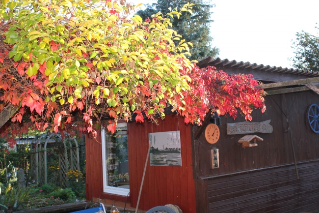 88年龙2025年有三喜，88年属龙人2025有哪三件喜事