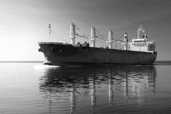 76年属龙49岁有灾，有什么灾难