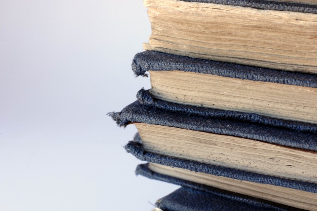 属猪能够驾驭属马的吗