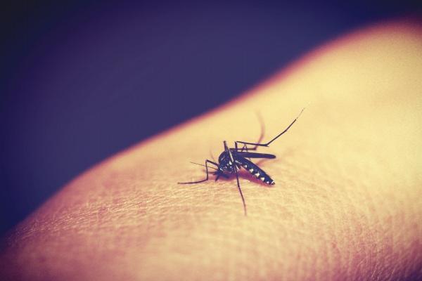 属猪人财运方位在哪里