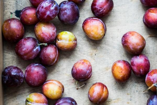 74年属虎人住宅楼朝向