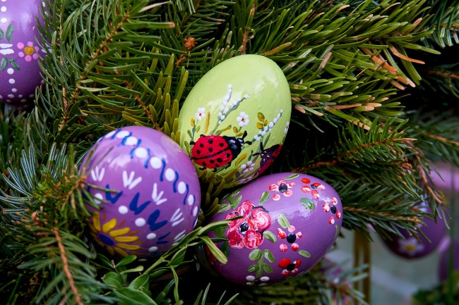 小人不敢惹的生肖女