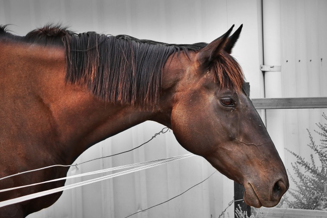 88年属龙的婚姻状况