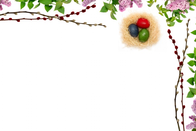 最不好骗的三大生肖女