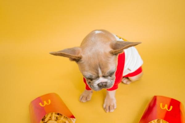 2025年财运最好生肖 财运最旺属相