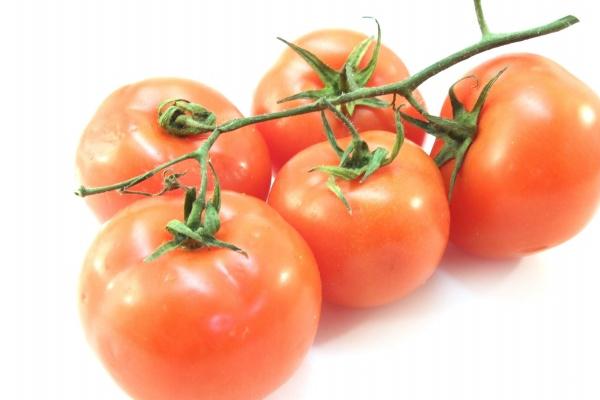 龙和猪在一起谁说了算