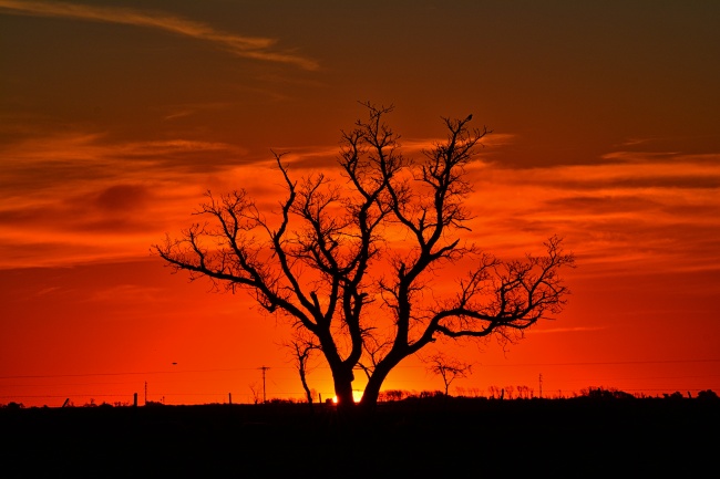 梦到煤粉是什么兆头
