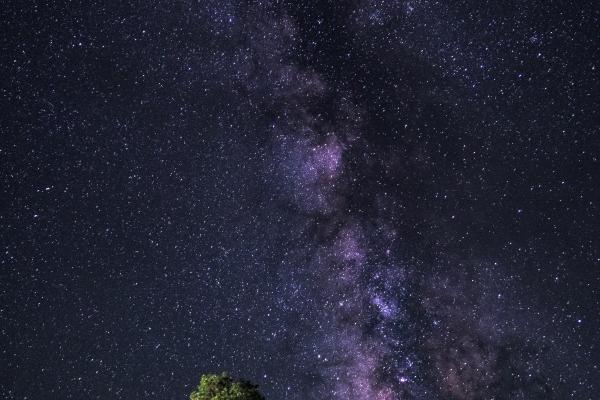 属马的2025年最倒霉的月份，2025年属马人几月最倒霉