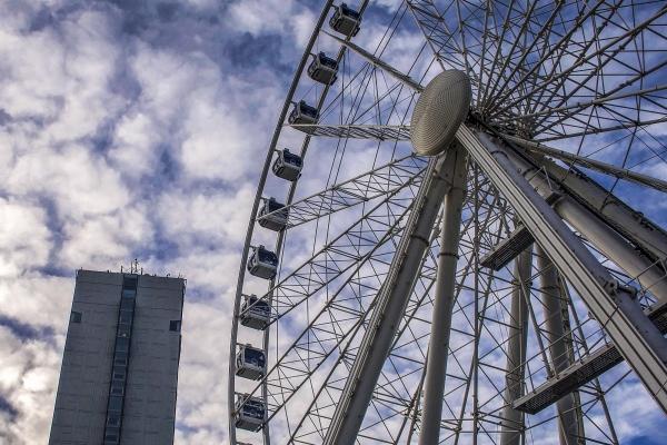 梦到了杀鱼取卵好不好