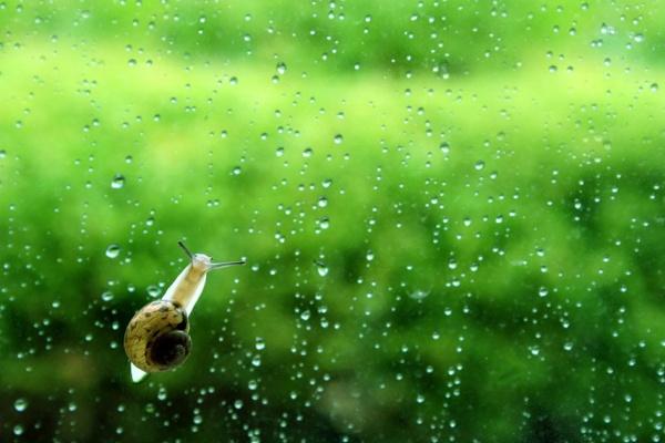 梦见买衣服鞋是什么意思