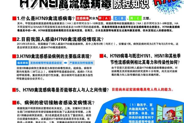 78年属马人2025年运势及运程