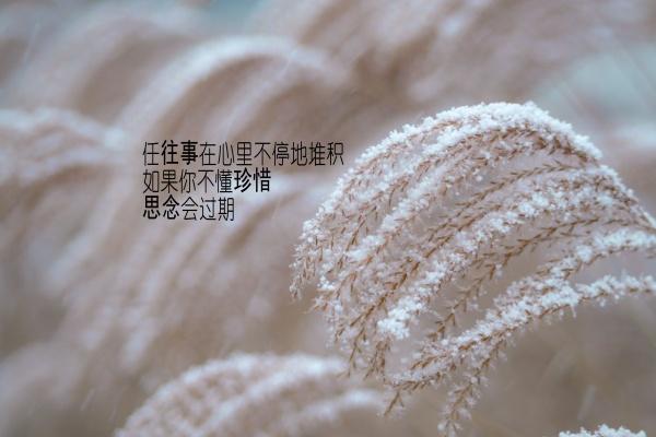 梦到头上有蛆虫意味着什么