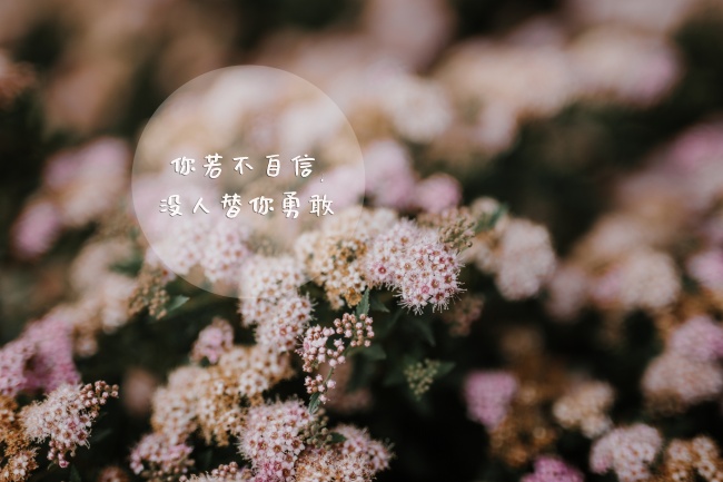属兔买车什么颜色