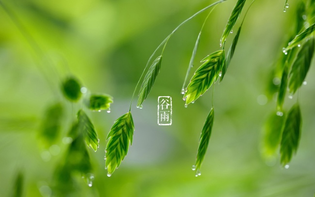 属虎之人一生最忌讳三样东西