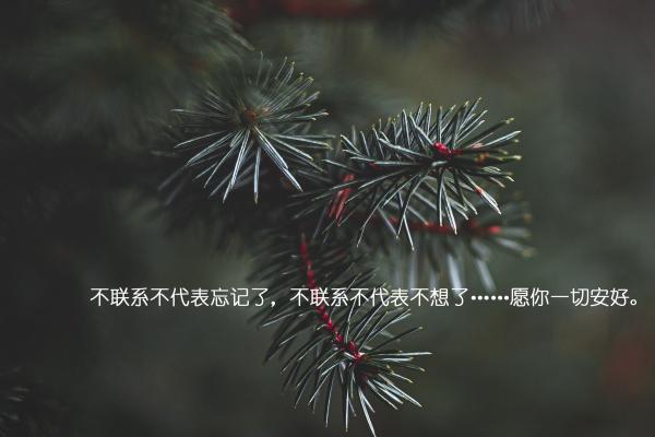 梦见外国主席的预兆