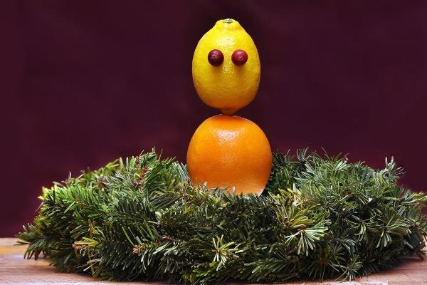 第一运程 2024年12月30日十二生肖运势解析