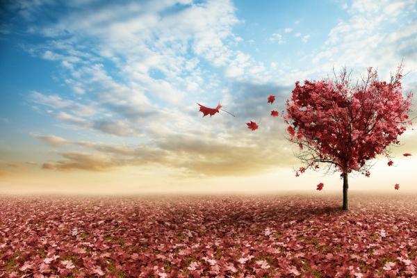 梦到了上学请假怎么说