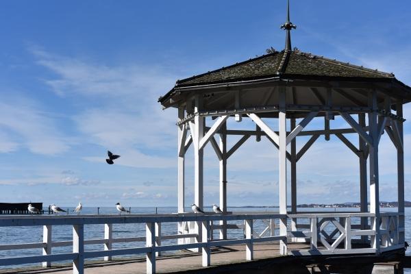 第一运程 2024年12月21日十二生肖运势解析