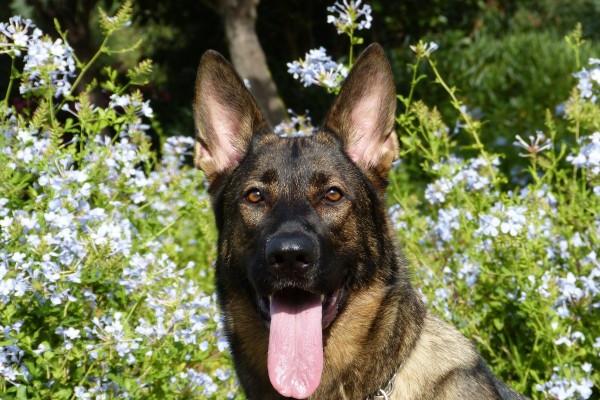 梦见六一儿童节的预兆