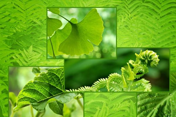 梦见别人打老公是什么预兆