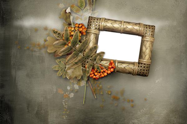 梦到焦点意味着什么