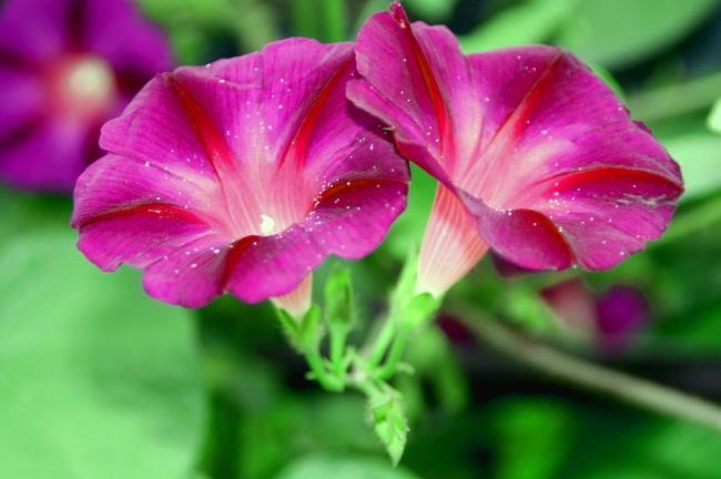 梦到了发泄情绪是什么意思