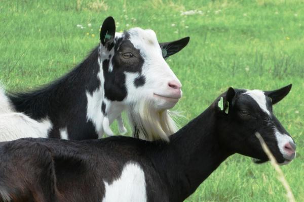 梦到了少女阴部是好事还是坏事