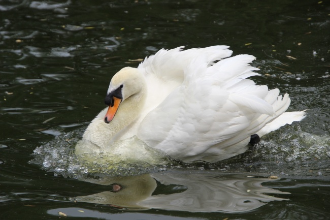 梦到了到处着火是什么预兆