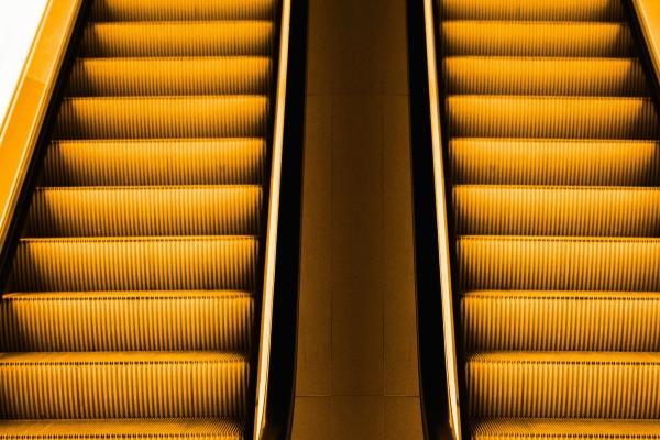 梦到了鸟抓鱼意味着什么