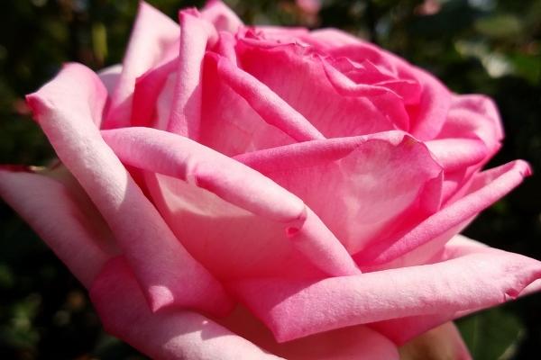 梦到车砸了有什么含义