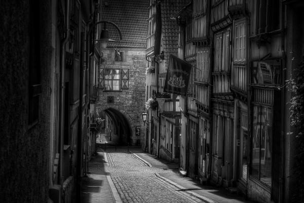 梦见狗跟我回家代表什么