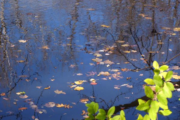 梦到拼刺刀会有什么预兆