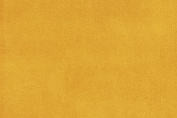 梦到了挖金蝉预示了什么