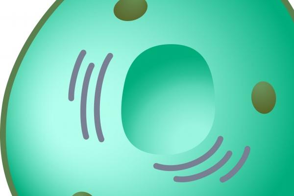 梦见陶厕所有什么征兆