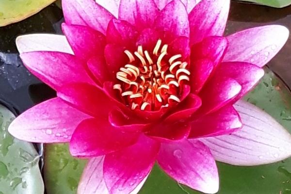 梦到被人追上是什么意思