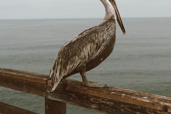 梦到被家人嫌弃预示什么