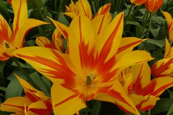 梦到家人残疾什么预兆