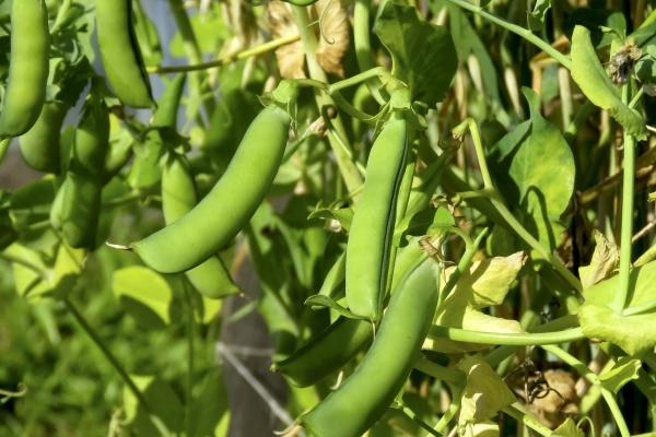 梦到了沙子水泥是什么预兆？