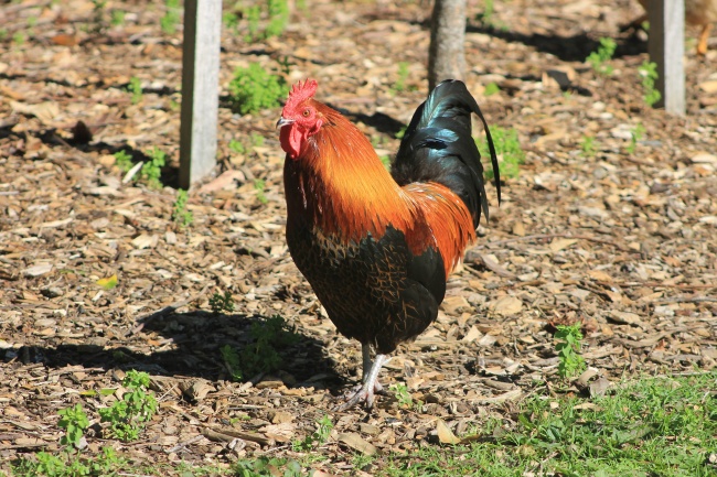 梦见讲鬼故事有什么寓意吗