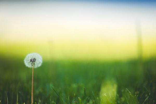 梦到了舅舅复活预示了什么