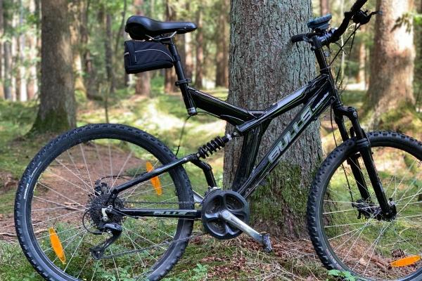 梦到了生梨预兆了什么吗