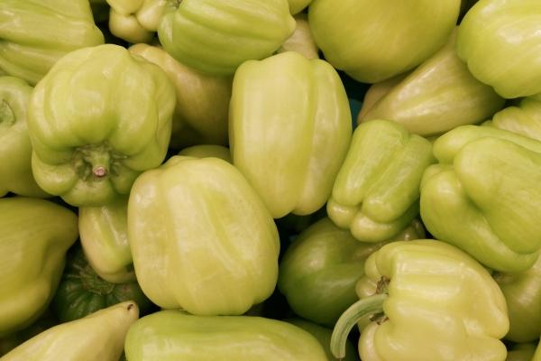 梦到自己掉茅坑里了代表什么