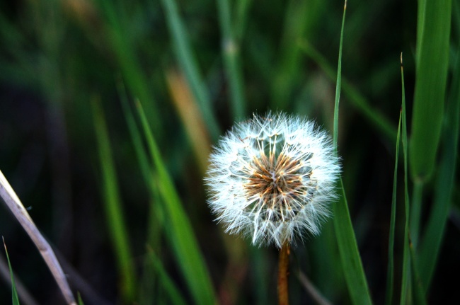梦见掀房子意味什么