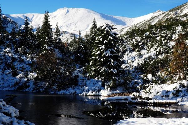 1971属猪女是寡妇命吗