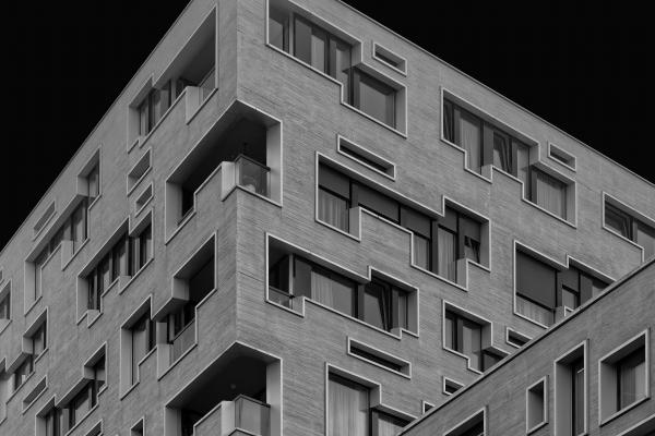 2025年事业运最好的兔，2025年什么兔事业运最旺