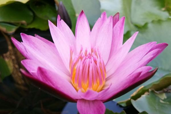 梦到了捆草有什么征兆