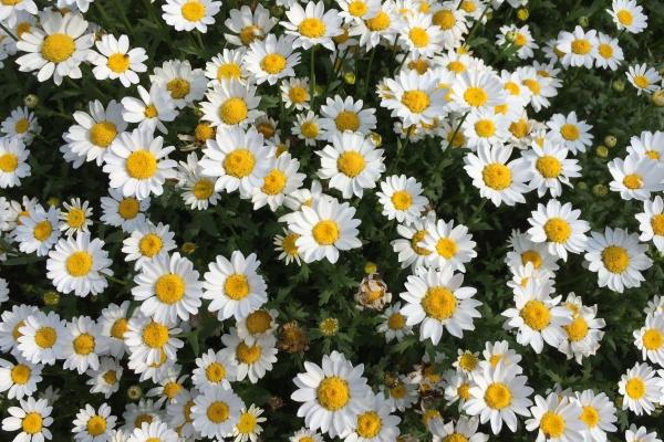 梦到了自己的孩子被蛇咬会是什么预兆