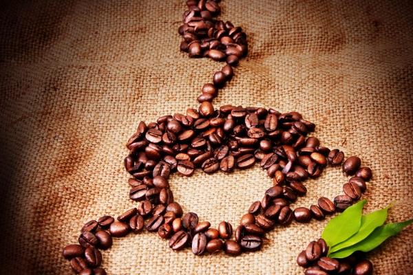 梦到捡皮包有什么预兆