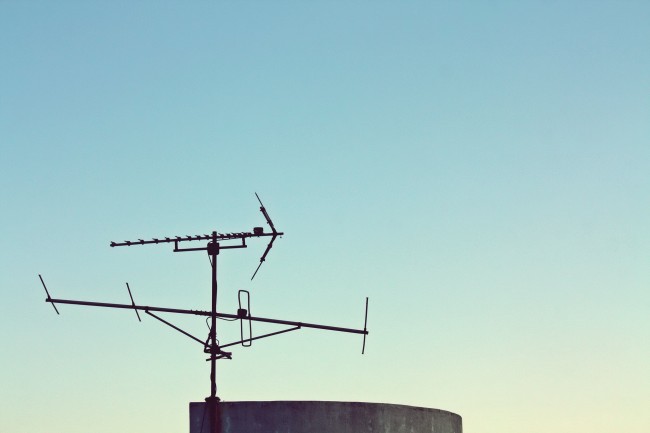 梦到蛇衣是什么启示